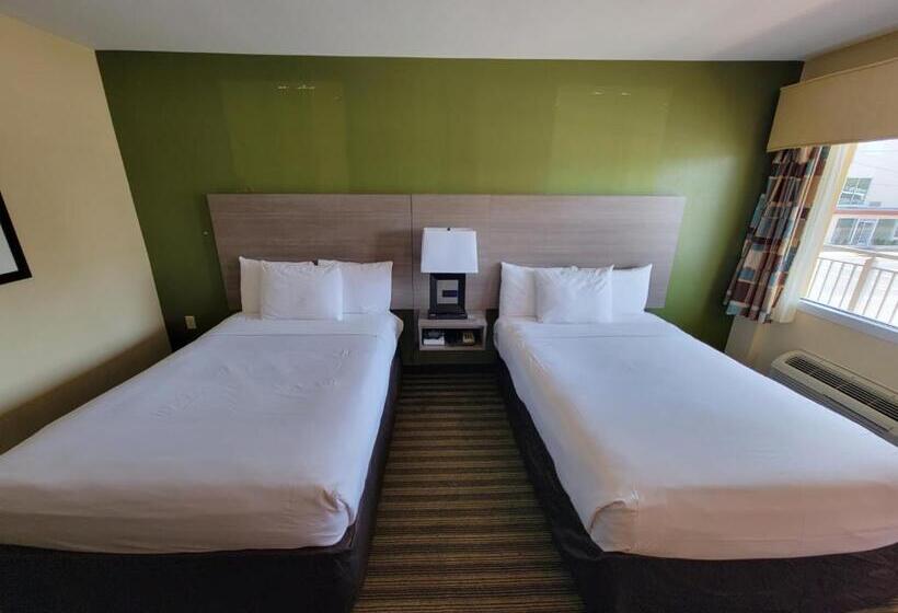 اتاق استاندارد با 2 تخت دوبل, Quality Inn Flamingo