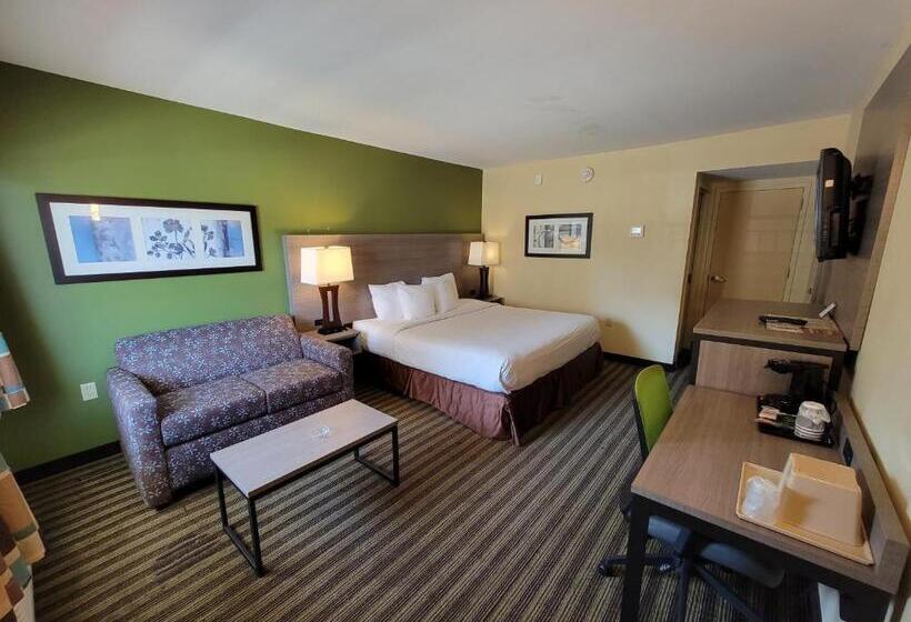 Chambre Standard Lit King Size, Quality Inn Flamingo