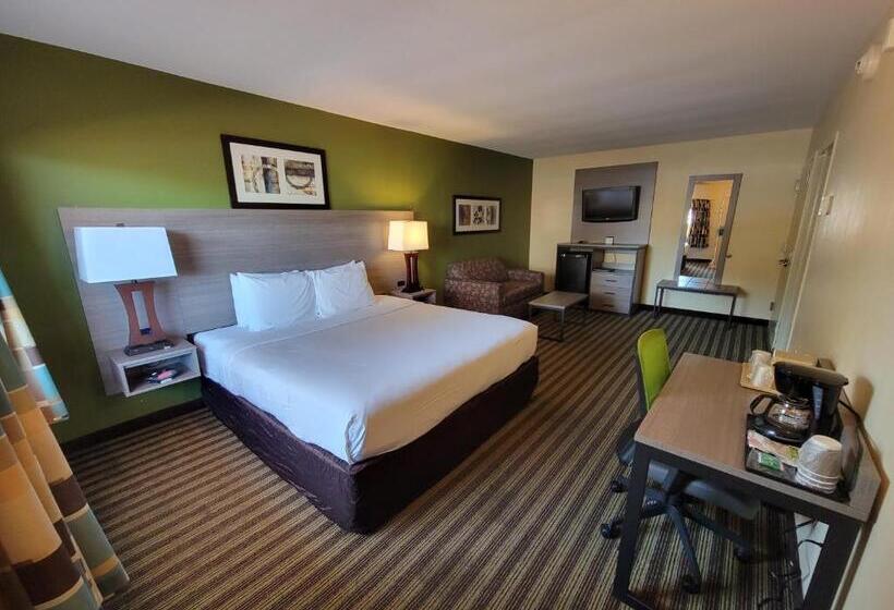 Chambre Standard Lit King Size, Quality Inn Flamingo