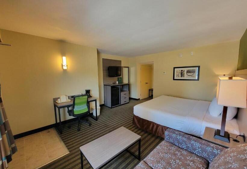 Chambre Standard Lit King Size, Quality Inn Flamingo