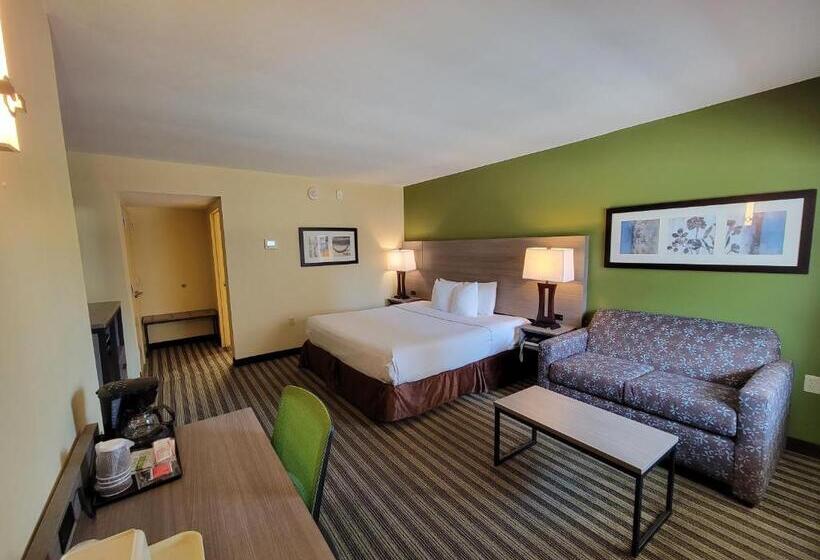 Chambre Standard Lit King Size, Quality Inn Flamingo