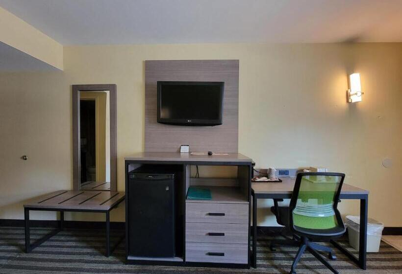 Standard Room King Bed Adapted for people with reduced mobility, Quality Inn Flamingo