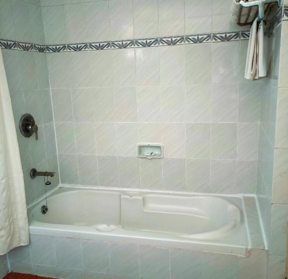 ویلای لوکس 1 خوابه, Srm Hotel Trichy