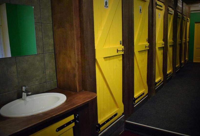 اتاق استاندارد با سرویس بهداشتی مشترک, Naughty Squirrel Backpackers Hostel