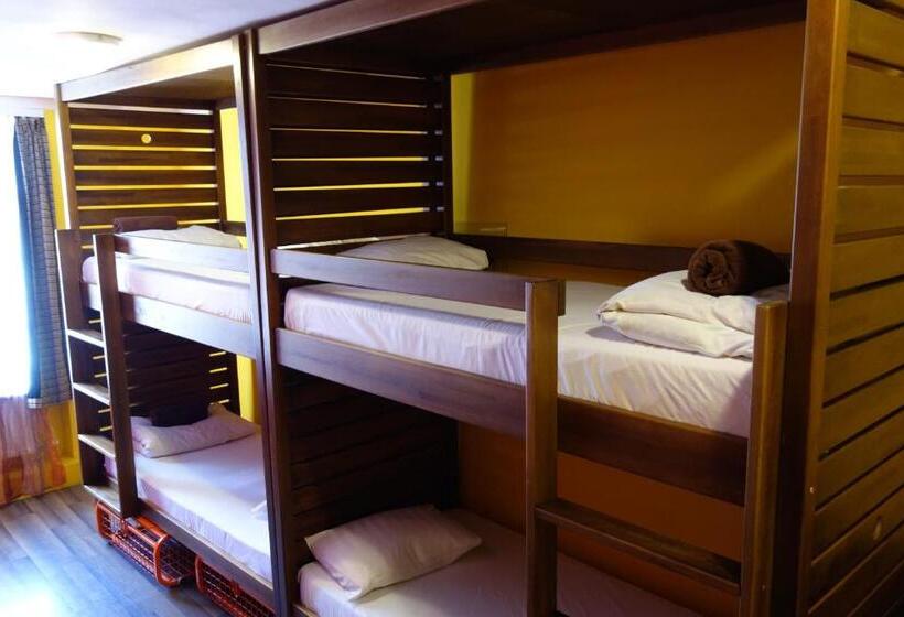 اتاق استاندارد سه تخته با سرویس بهداشتی مشترک, Naughty Squirrel Backpackers Hostel