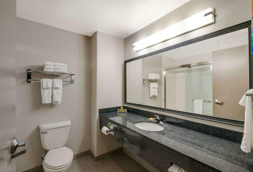 اتاق استاندارد با تخت بزرگ, Best Western Plus Killeen/fort Cavazos Hotel & Suites