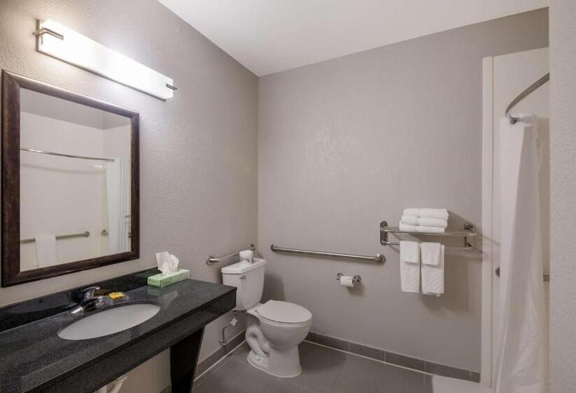 Standard Room Adapted for people with reduced mobility, Best Western Plus Killeen/fort Hood  & Suites