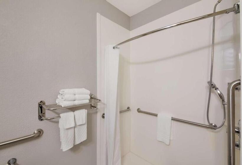 اتاق استاندارد با تخت بزرگ, Best Western Plus Killeen/fort Cavazos Hotel & Suites