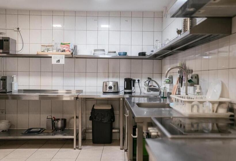 اتاق استاندارد, Downtown Forest Hostel & Camping