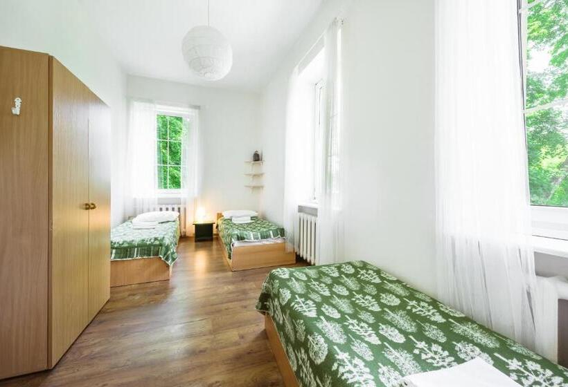 اتاق استاندارد سه تخته با سرویس بهداشتی مشترک, Downtown Forest Hostel & Camping