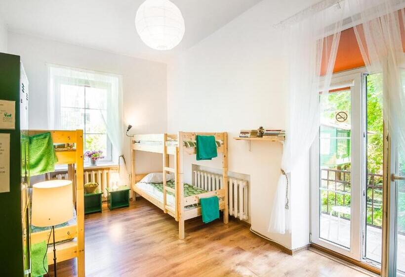 اتاق خانوادگی با سرویس بهداشتی مشترک, Downtown Forest Hostel & Camping