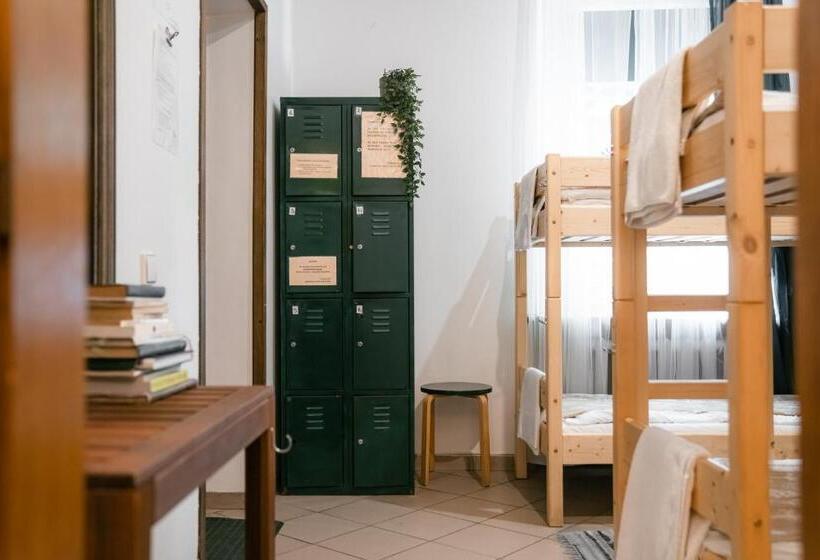 اتاق خانوادگی, Downtown Forest Hostel & Camping