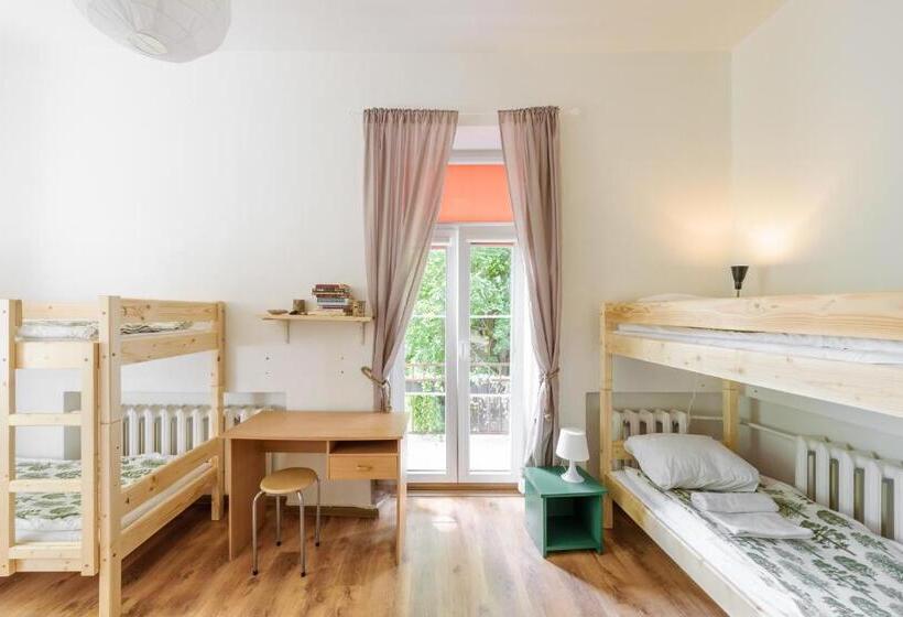 تختخواب در اتاق مشترک, Downtown Forest Hostel & Camping