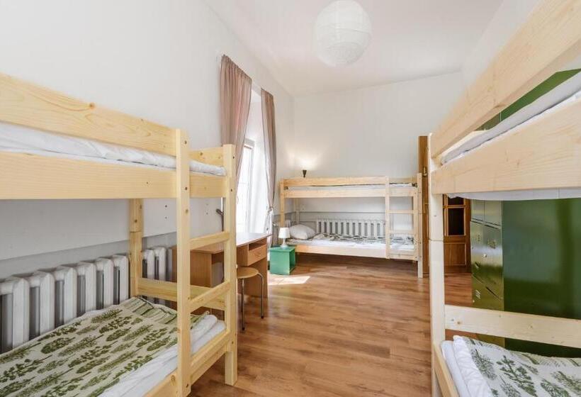 تختخواب در اتاق مشترک, Downtown Forest Hostel & Camping