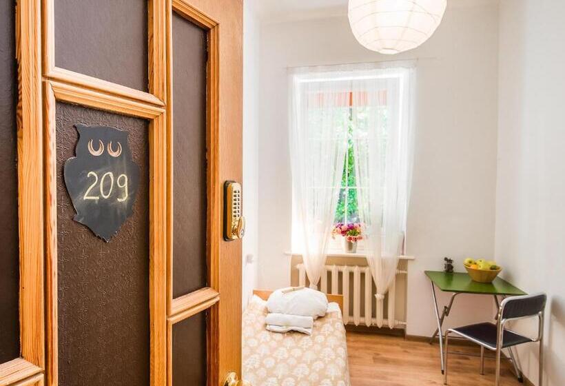 اتاق استاندارد یک نفره, Downtown Forest Hostel & Camping