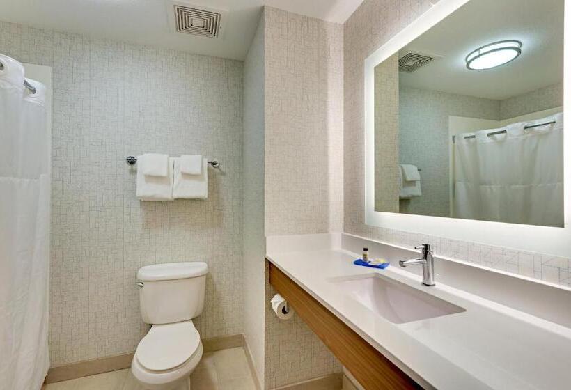 Quarto Estandar para Deficientes Físicos, Holiday Inn Express & Suites Weatherford