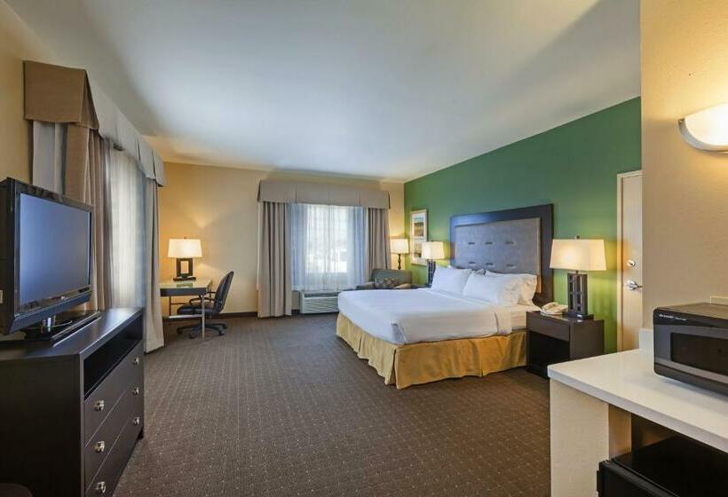 اتاق استاندارد با تخت بزرگ, Holiday Inn Express Hotel & Suites Eagle Pass, An Ihg