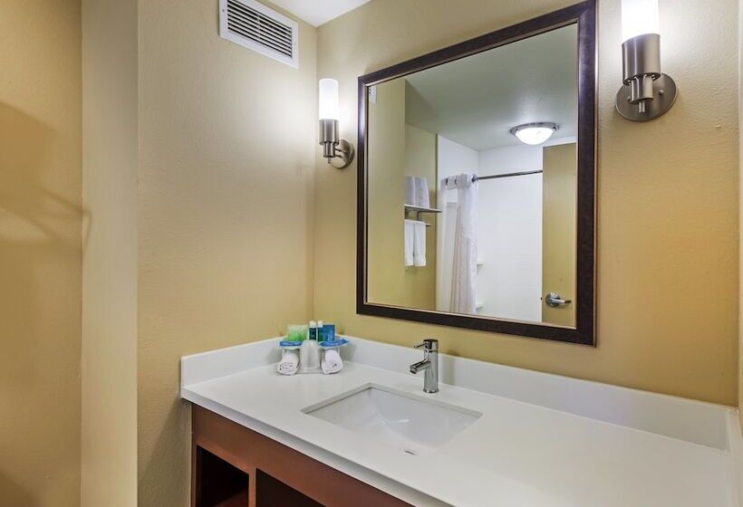 اتاق استاندارد, Holiday Inn Express Hotel & Suites Eagle Pass, An Ihg