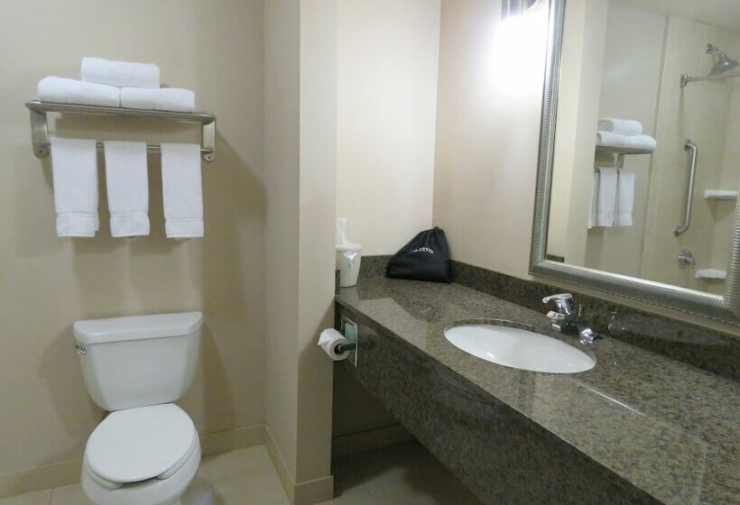 اتاق استاندارد, Holiday Inn Express Hotel & Suites North Sequim, An Ihg