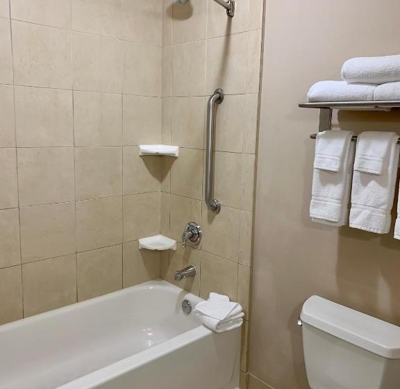اتاق استاندارد با تخت بزرگ, Holiday Inn Express Hotel & Suites North Sequim, An Ihg