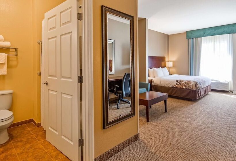 سوییت, Best Western Dothan Inn & Suites