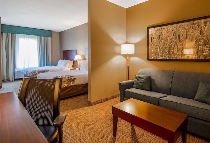 سوییت, Best Western Dothan Inn & Suites
