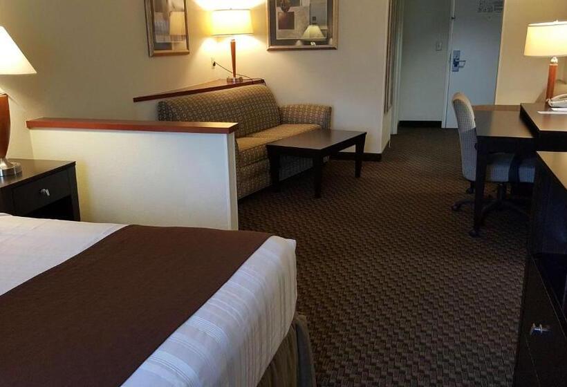 اتاق استاندارد, Best Western Plus Castlerock Inn & Suites