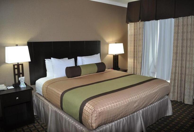 Standard Room King Size Bed, Best Western Plus Cutting Horse Inn And Suites