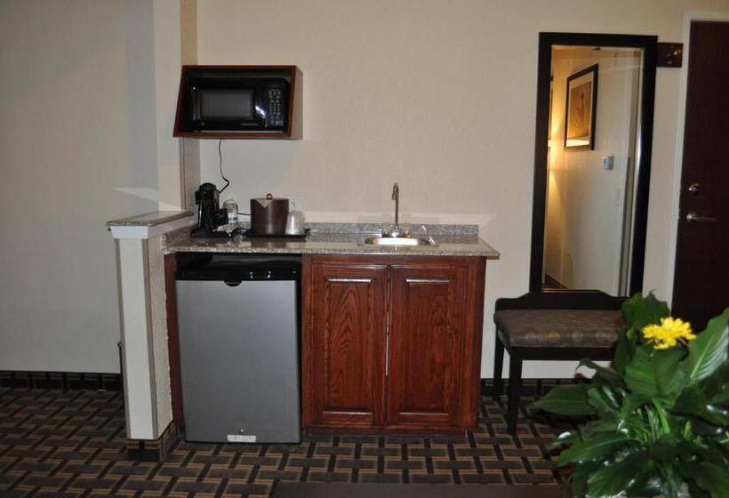 اتاق استاندارد با تخت بزرگ, Best Western Plus Cutting Horse Inn & Suites
