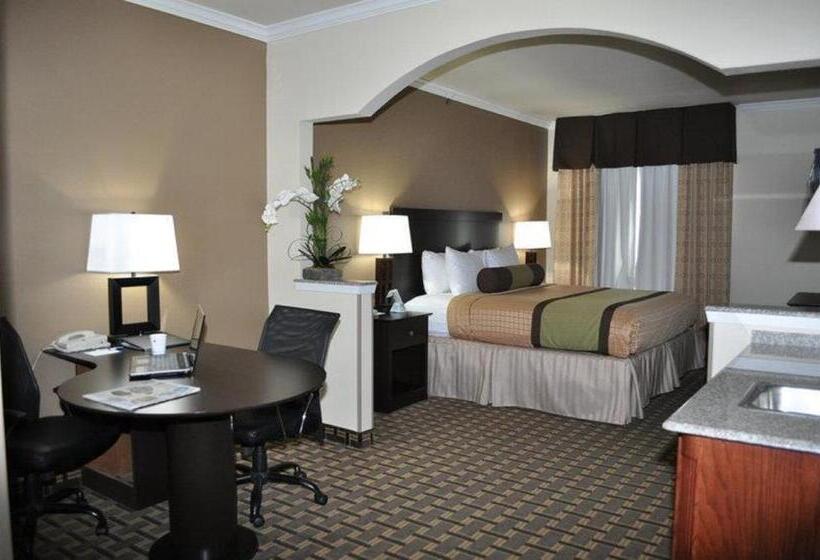 اتاق استاندارد با تخت بزرگ, Best Western Plus Cutting Horse Inn & Suites