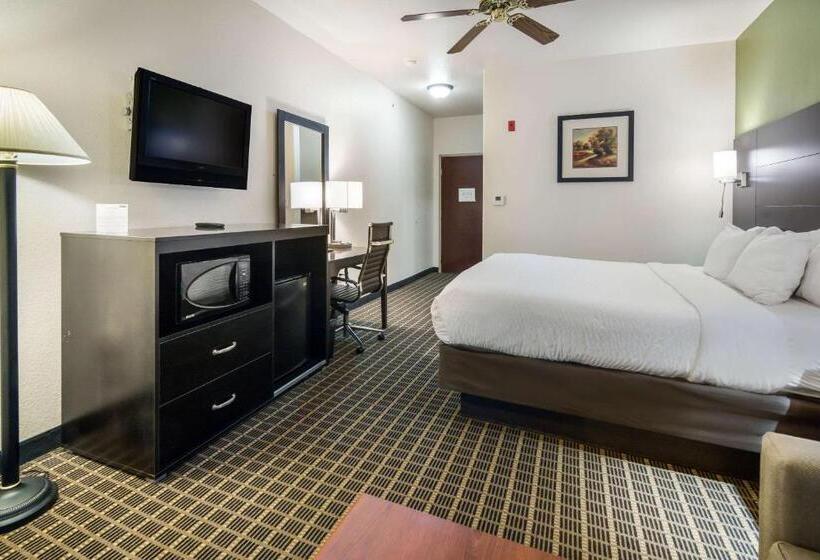 Standardrum King Size Säng, Clarion Inn & Suites Weatherford South