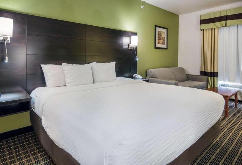 Standardrum King Size Säng, Clarion Inn & Suites Weatherford South