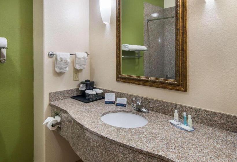 Standardrum King Size Säng, Clarion Inn & Suites Weatherford South