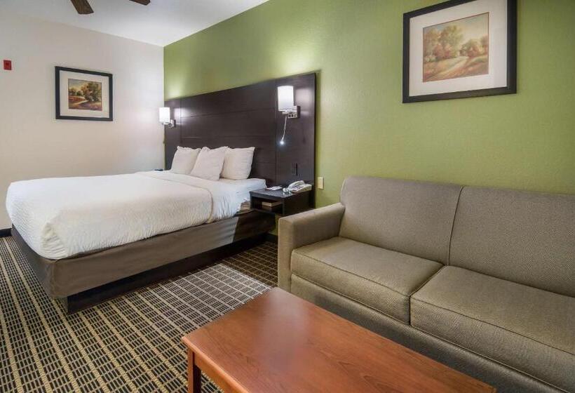 Standardrum King Size Säng, Clarion Inn & Suites Weatherford South