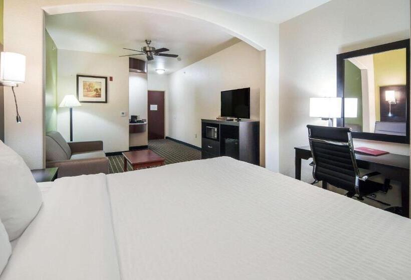 Suite Adaptada para personas con movilidad reducida, Clarion Inn & Suites Weatherford South