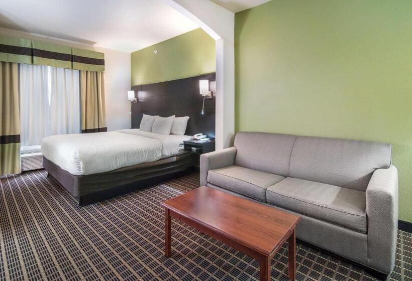 Suite Adapted for people with reduced mobility, Clarion Inn & Suites Weatherford South