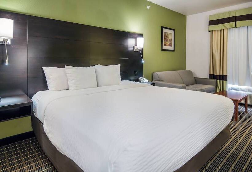 سوییت, Clarion Inn & Suites Weatherford South