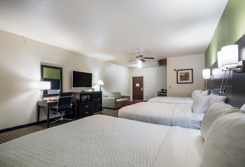 سوییت, Clarion Inn & Suites Weatherford South