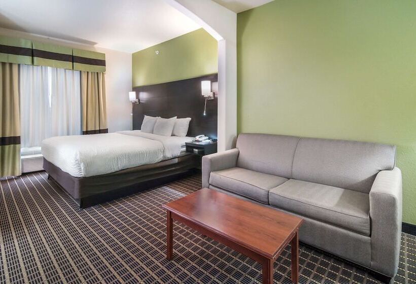 Suite Adaptada para personas con movilidad reducida, Clarion Inn & Suites Weatherford South