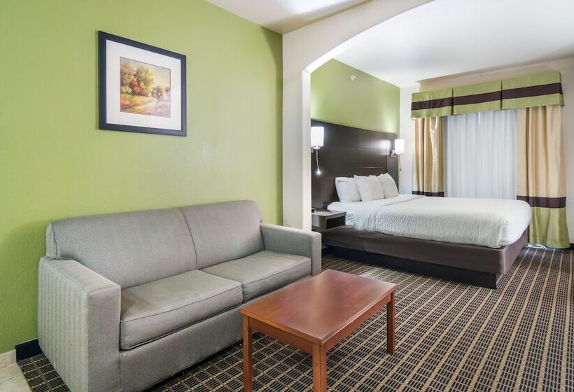 Suite Adaptada para personas con movilidad reducida, Clarion Inn & Suites Weatherford South