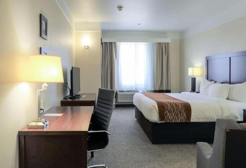 اتاق استاندارد با تخت بزرگ, Comfort Inn & Suites, Odessa I 20