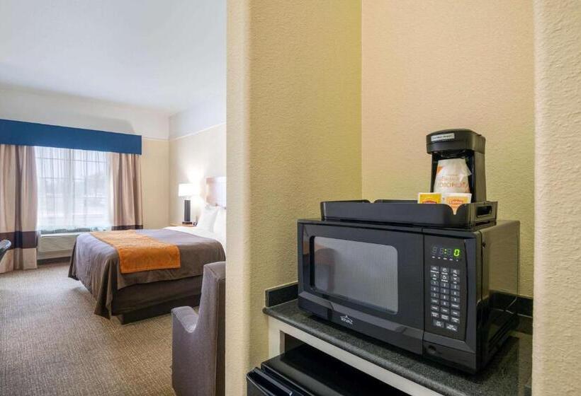 سوئیت با تخت بزرگ, Comfort Inn & Suites, Odessa I 20