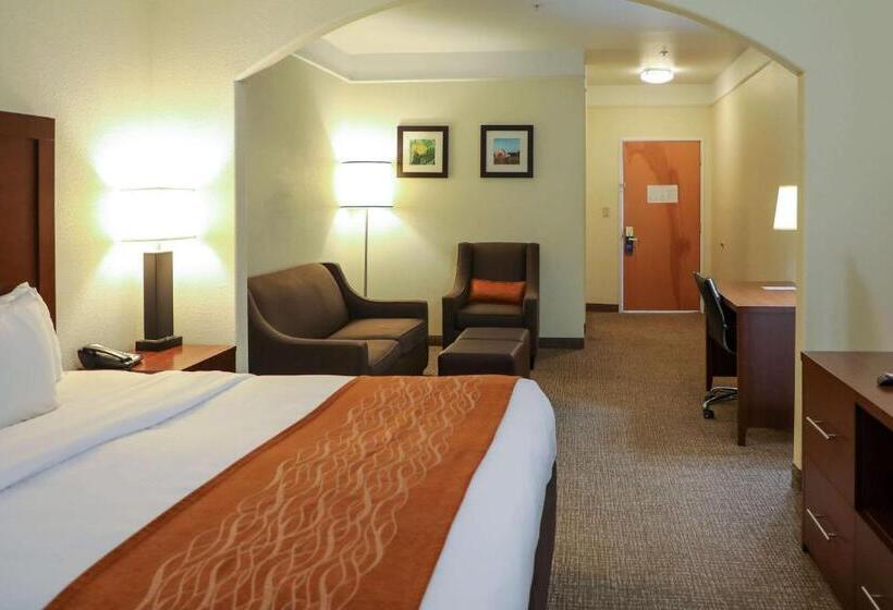 سوئیت برای معلولان, Comfort Inn & Suites, Odessa I 20