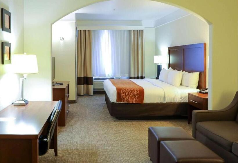 سوئیت برای معلولان, Comfort Inn & Suites, Odessa I 20