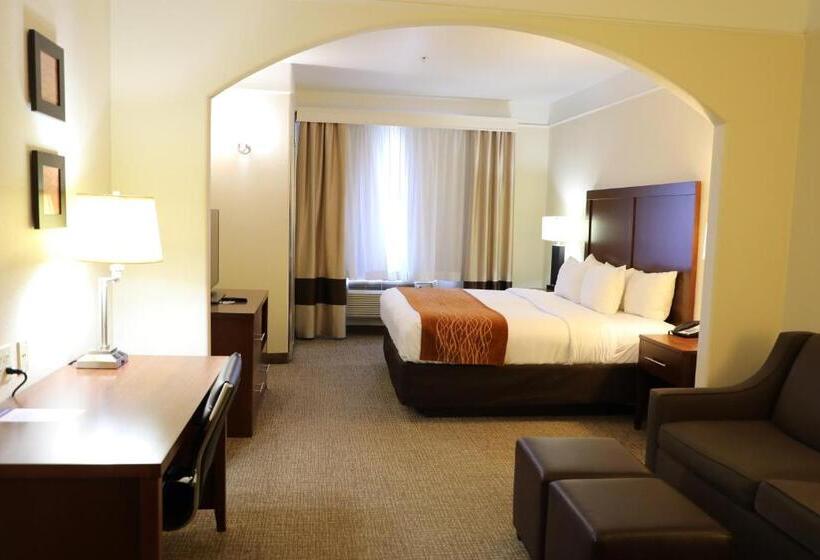 Suite Adapted for people with reduced mobility, Comfort Inn & Suites