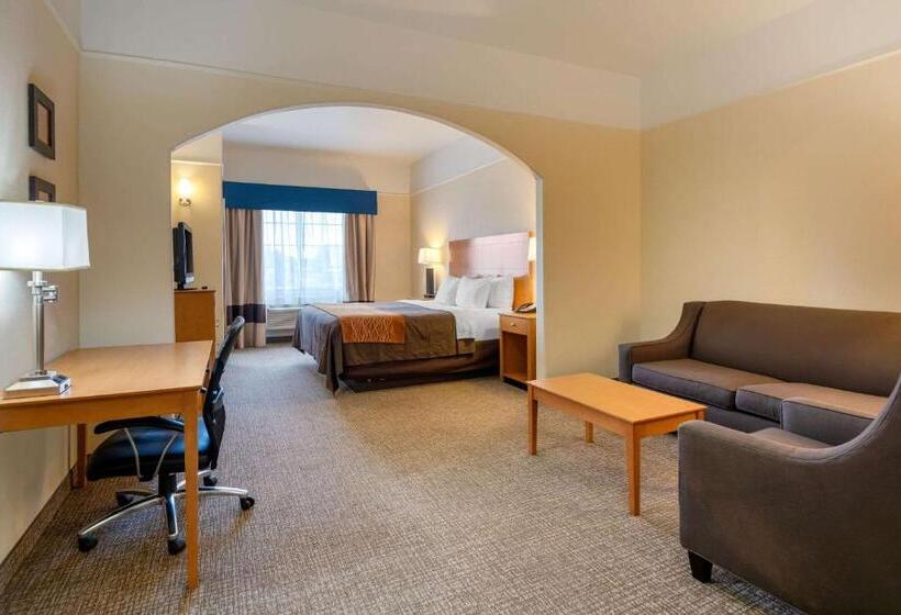 Suite Adapted for people with reduced mobility, Comfort Inn & Suites