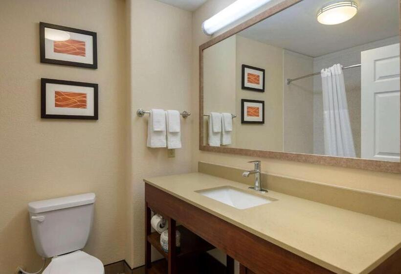 اتاق استاندارد با تخت بزرگ برای معلولان, Comfort Inn & Suites, Odessa I 20