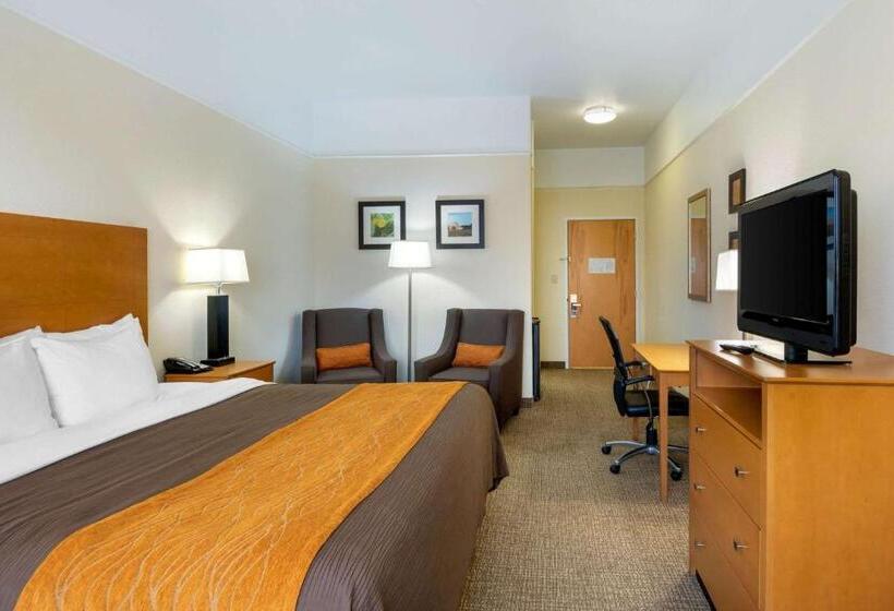 غرفة قياسية سرير كينج لذوى الإحتياجات الخاصة, Comfort Inn & Suites