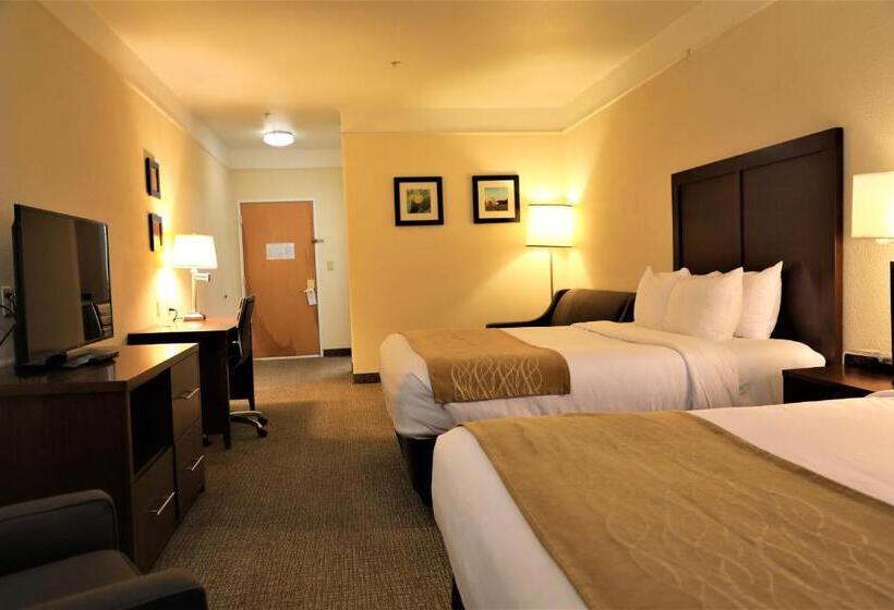 Suite Adapted for people with reduced mobility, Comfort Inn & Suites