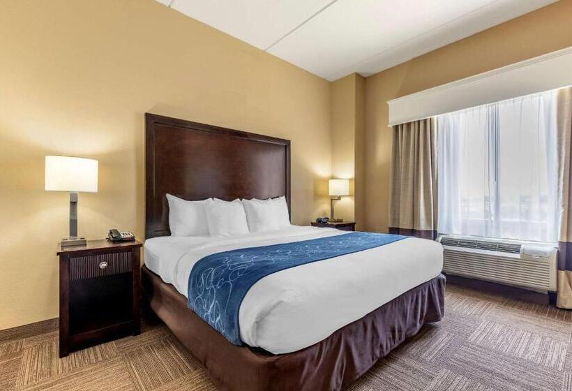 سوئیت با تخت بزرگ, Comfort Suites Frisco